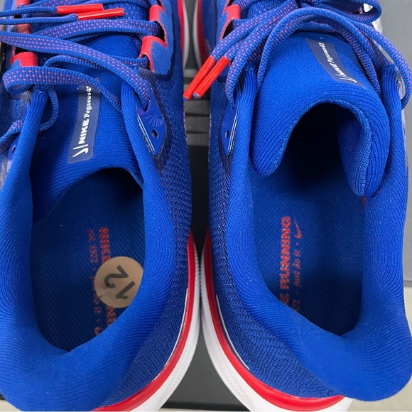 Nike Air Zoom Pegasus 41 NFL Buffalo Bills PE FZ5074-400 Men 12 New Without Box main image 7